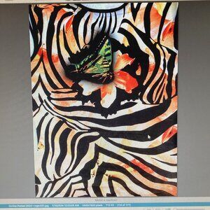 Cache Butterfly Zebra Stripe Ruched Shoulder Stretch Top M Poly/Spandex Boatneck